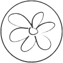 Silky Petals logo